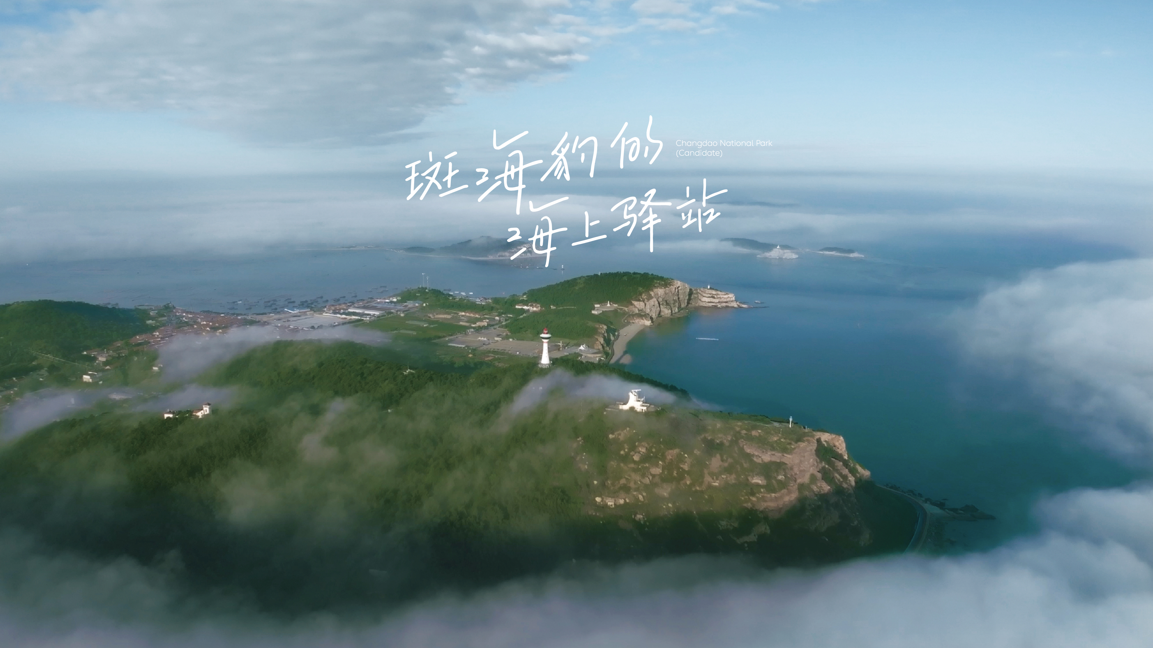 Clean Parks｜守护斑海豹的海上驿站