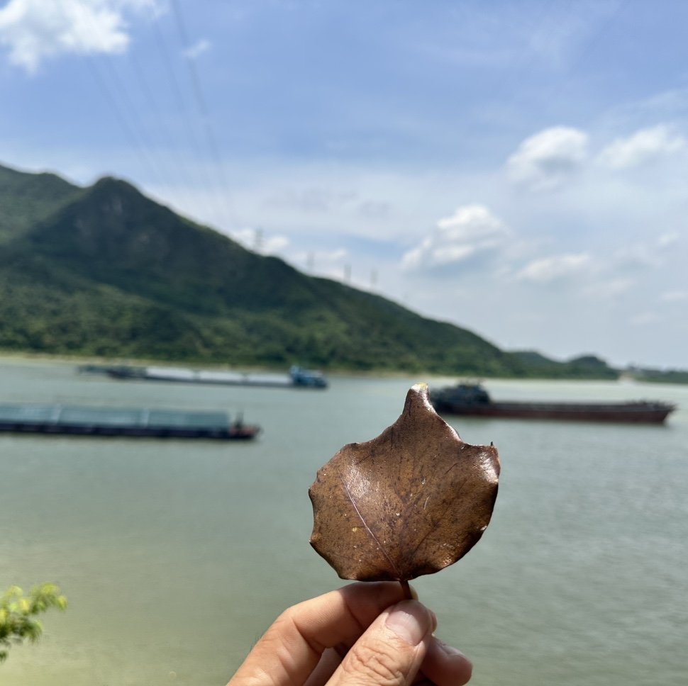 尊龙凯时ES6 用车心得，，，，，，，从用电焦虑到换电自由的蜕变