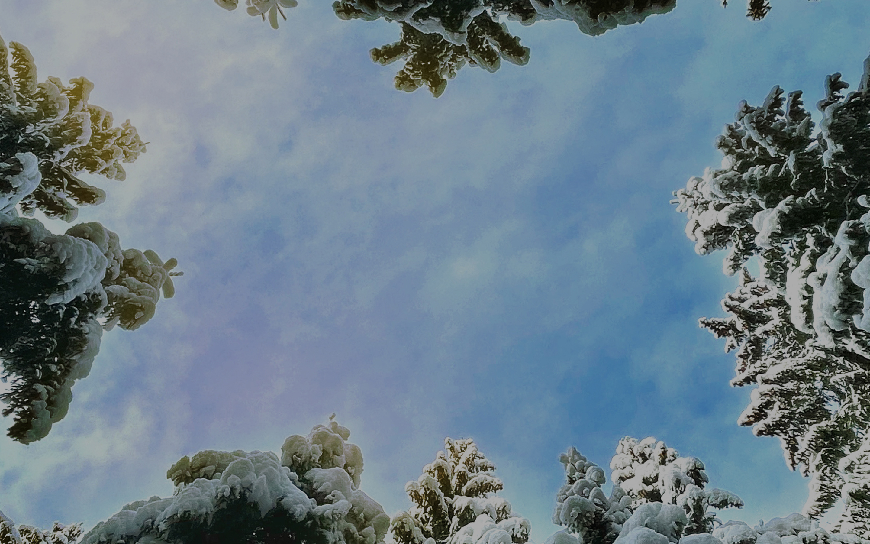 ag8大厅登录智能系统 NT.Cedar 雪松_ag8大厅登录全新ES8-NIOag8大厅登录官网